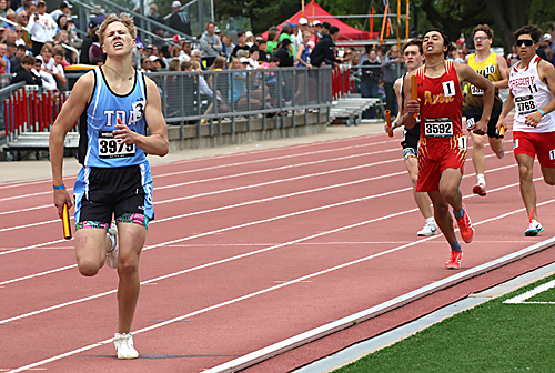 tripp track
